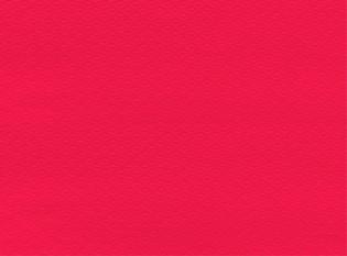 Visuel du produit NP74 - Fonds de plateaux en Papier - Rouge, 20x30cm